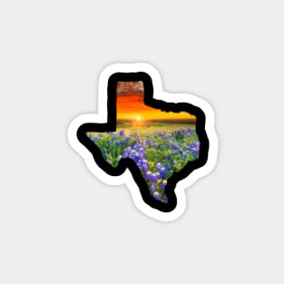 Texas Sunset Magnet