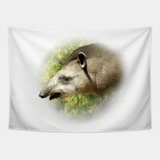 Tapir Tapestry