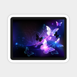 Violet Background with Night Butterflies Magnet