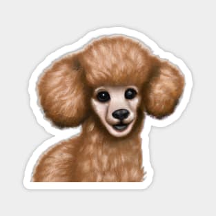 Cute Poodle Drawing Magnet