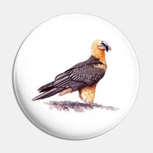 Bearded Vulture Pin