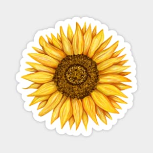 Sunny Yellow Sunflower Magnet