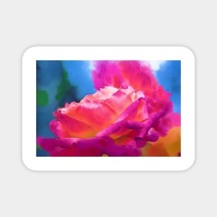 Soft Rose Bloom In Red and Purple Magnet