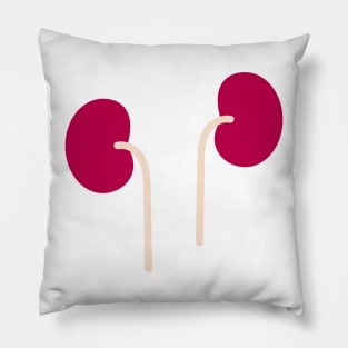 Kidney Pillow