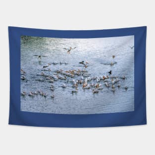 Morning Arrivals Joining the Flock Tapestry