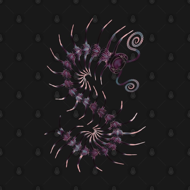 Black and Pink Centipede by IgorAndMore