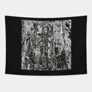 Winter Forest Tapestry