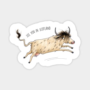 Highland Cattle - See you in Scotland Magnet