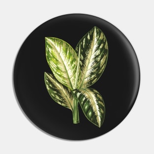 Dieffenbachia Wallisi - Lemaire Pin