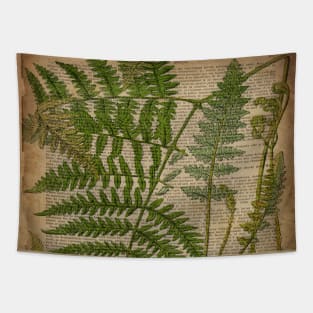 vintage botanical print forest fern leaves Tapestry