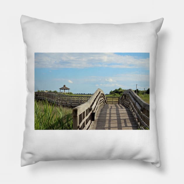 Beauty At The Boardwalk Pillow by Cynthia48