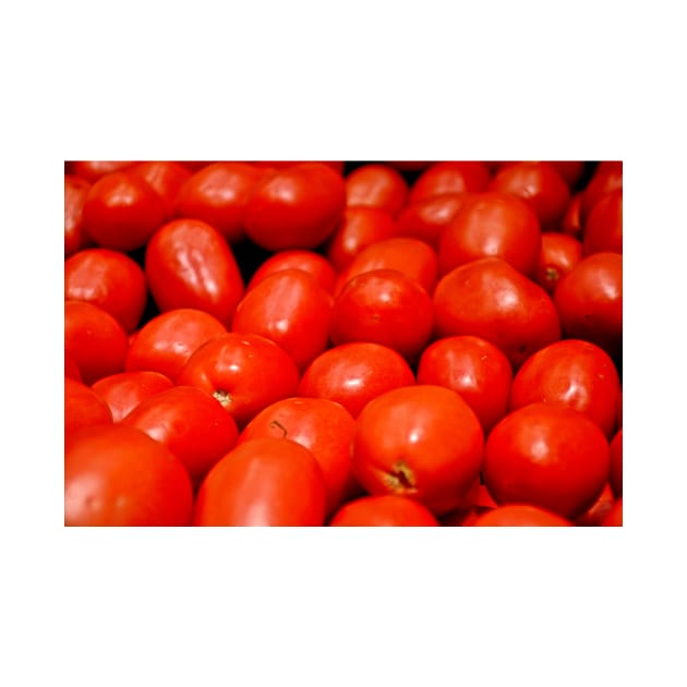 Roma Tomatoes by bobmeyers