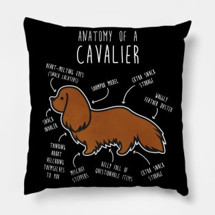 Ruby Cavalier King Charles Spaniel Dog Anatomy Pillow