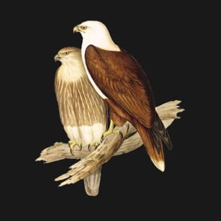 White Breasted Sea Eagle T-Shirt