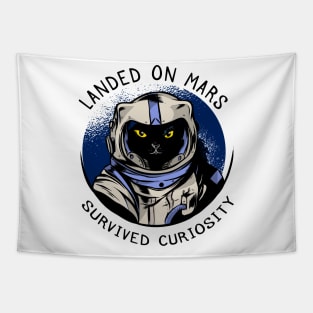 funny cat – Astrocat – Curiosity Tapestry