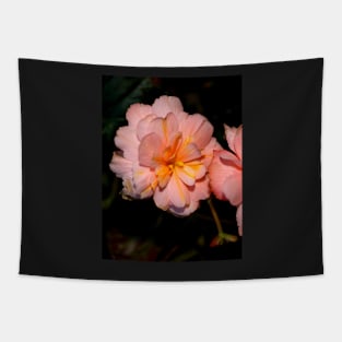 Pink Begonia Flower Tapestry