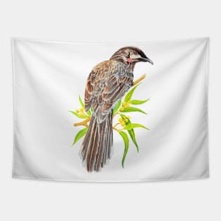 Red Wattlebird - Australian Bird Tapestry