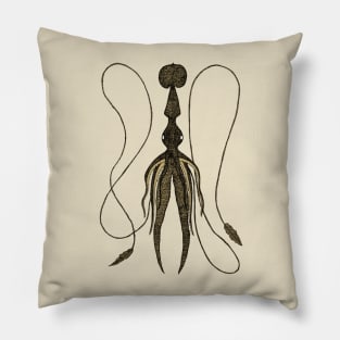 Squid Illustration Pillow