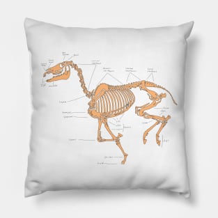 Skeleton horse anatomical sketch (tan) Pillow