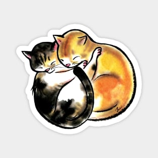 Cute cats sleeping together Magnet