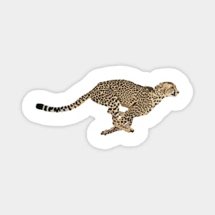 Running Cheetah Magnet