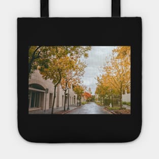 Autumn in Stanford Tote