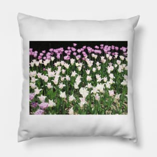 Pink and White Tulips Pillow