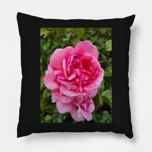 gift, for birthday happy birthday beautiful, flower Pillow