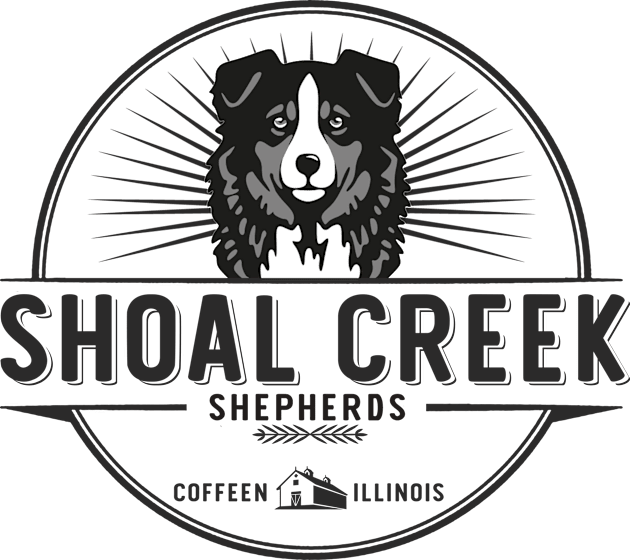 Shoal Creek Shepherds Kids T-Shirt by Domelight Designs