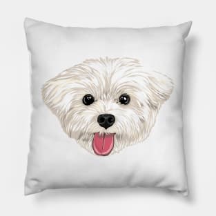 Maru the Maltese (face only) Pillow