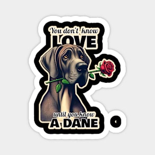 Great Dane Valentine's day Magnet