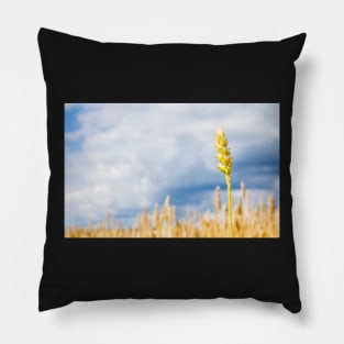 Wheat Pillow