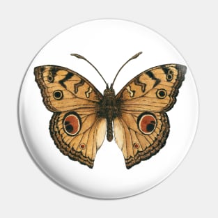 Peacock pansy butterfly Pin