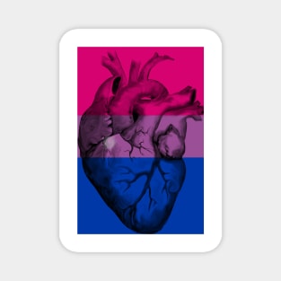 Bisexual Pride Anatomic Heart Magnet