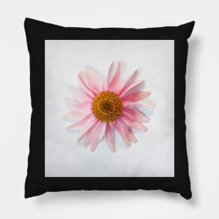 Upclose Purple Coneflower Pillow