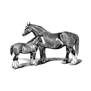 Shire Mare and Foal Black and White Horse Illustration T-Shirt