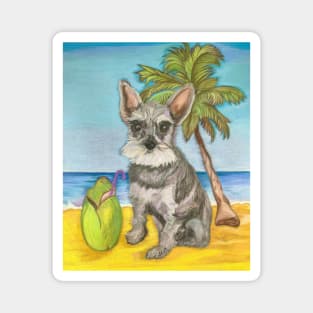 Cute Schnauzer Dog on Vacation Magnet