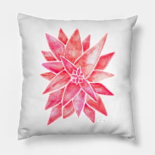 Pink Aloe Vera Pillow