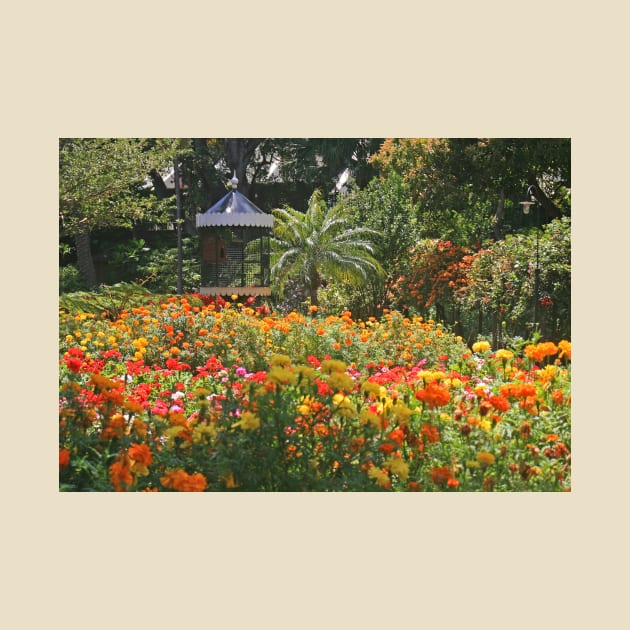 Governor's Residence Gardens, Madeira, May 2022 by RedHillDigital