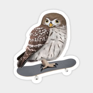 Little Owl Bird Skateboard Birdwatcher Animal Biologist Magnet