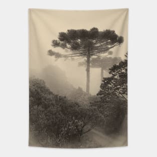 Misty morning in the canyons Tapestry