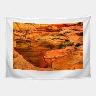 Arizona Desert Oasis Tapestry