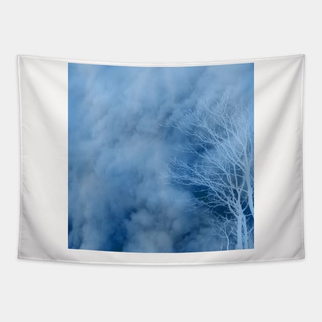 Tree Design Neck Gator Cloudy Tree Tapestry by DANPUBLIC