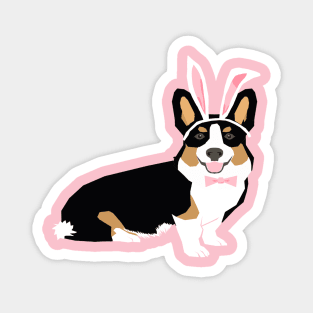 Tri Corgi Easter Bunny Magnet