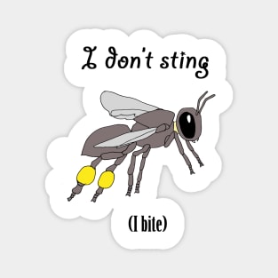 I don't sting, I bite Magnet