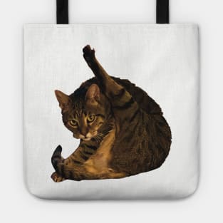 tabby cat funny meme cleaning his butt Tote