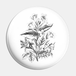 Flower Bouquet Black and White Vintage Botanical Illustration Pin