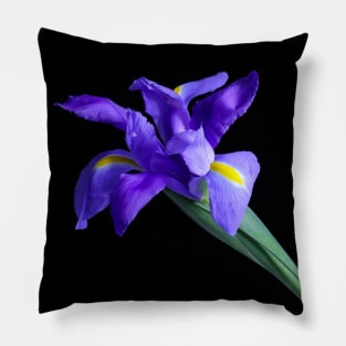 Purple Iris Pillow