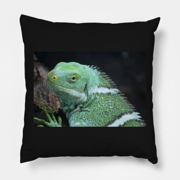 Fijian Crested Iguana Pillow by LeanneAllen