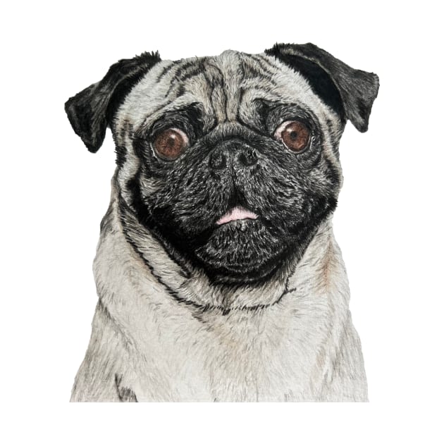 Pug Drawing by DrawWithSacha